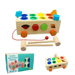 2in1 Wooden Shape Matching