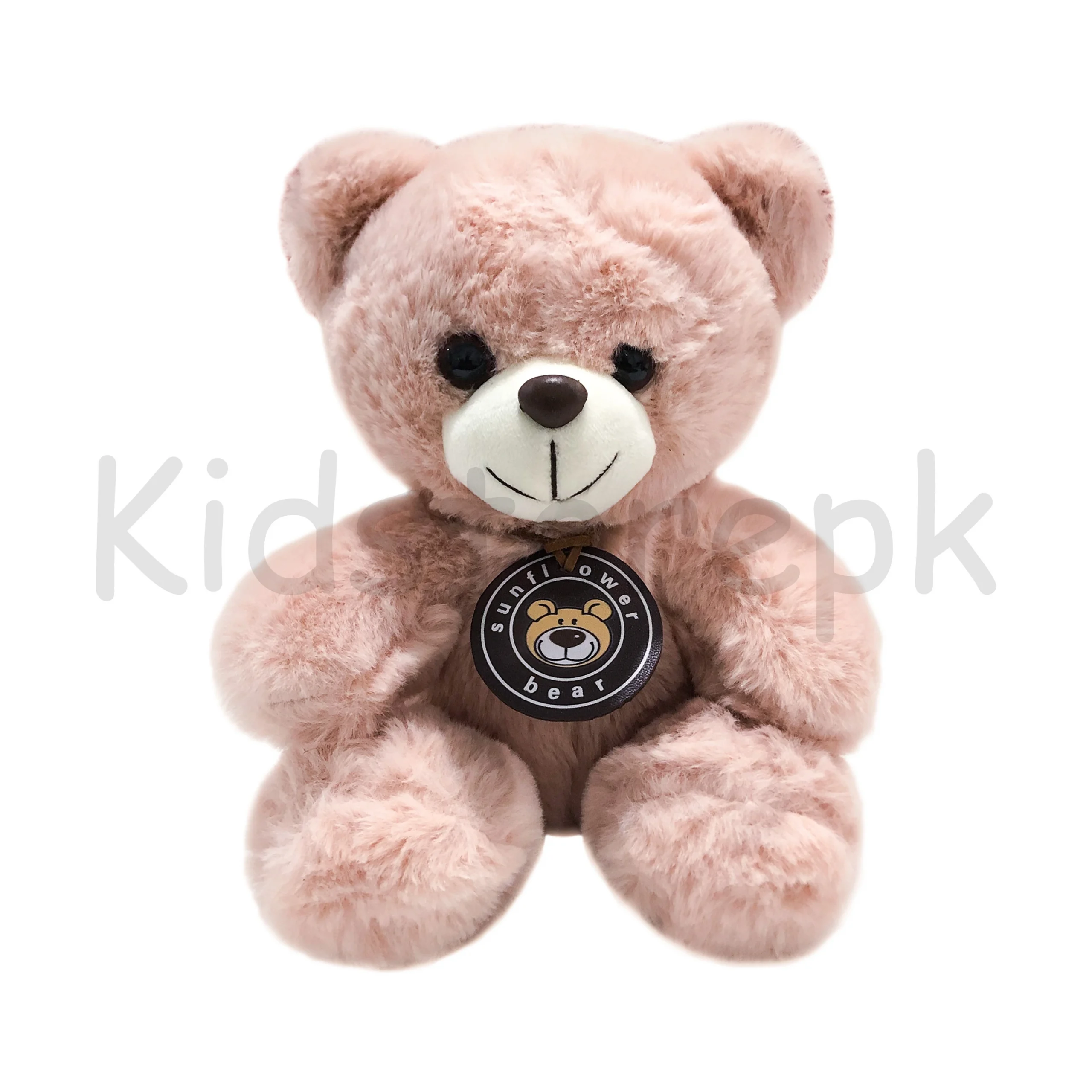 Fluffy Teddy Bear-2