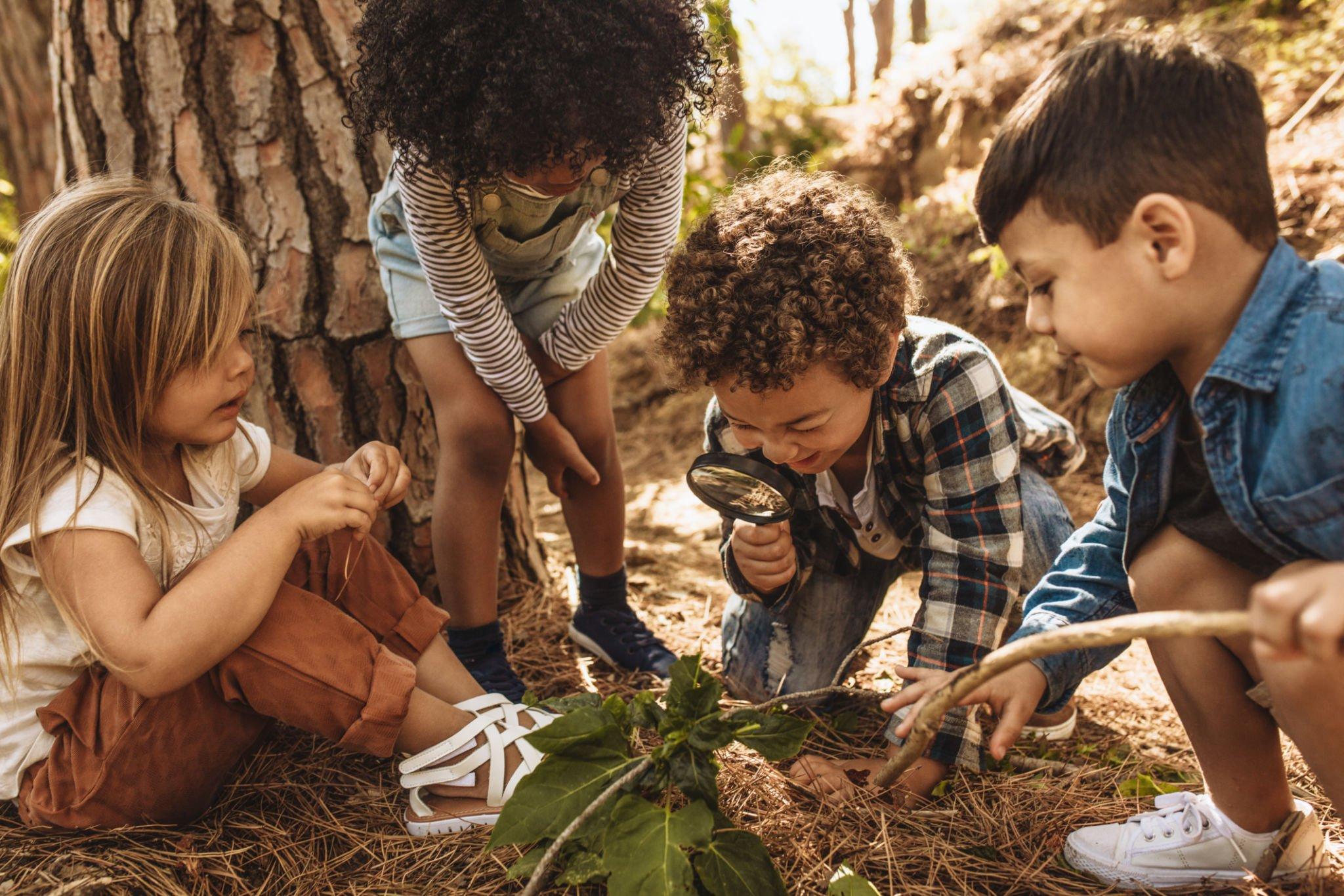 Children playing outside and exploring nature